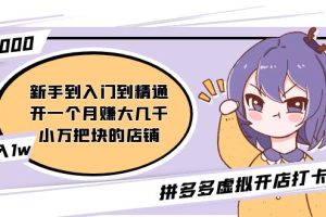 （5023期）拼多多虚拟开店打卡群：入门到精通（昨日群里有小伙伴日入3000+）