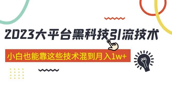 价值4899的2023大平台黑科技引流技术 29节课插图