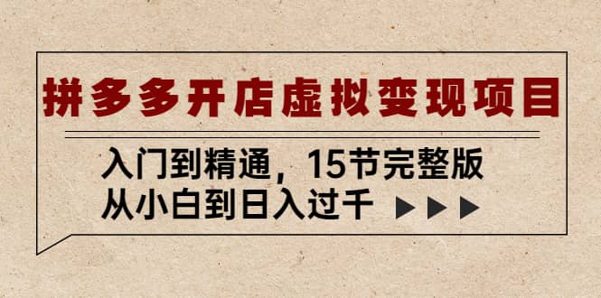 拼多多开店虚拟变现项目：入门到精通（15节完整版）插图