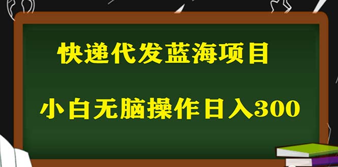 （5573期）2023最新蓝海快递代发项目，小白零成本照抄也能日入300+插图