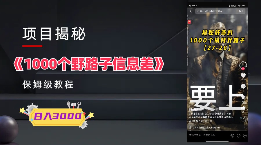 （6135期）1000个信息差保姆式教程-单日变现3000+的玩法解密插图