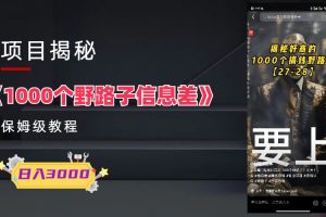 （6135期）1000个信息差保姆式教程-单日变现3000+的玩法解密