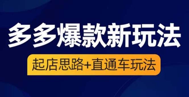 （6028期）2023拼多多爆款·新玩法：​起店思路+直通车玩法（3节精华课）插图