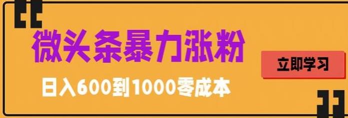 （5950期）微头条暴力涨粉技巧搬运文案就能涨几万粉丝，简单0成本，日赚600插图