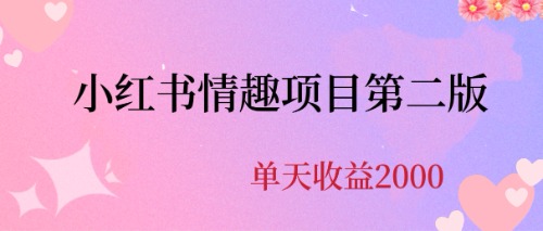 (6666期)最近爆火小红书情趣项目第二版，每天2000+插图