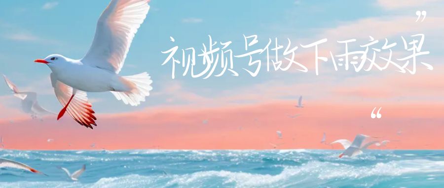 (6637期)视频号做下雨视频一个账号一周涨粉10W+年入100w插图