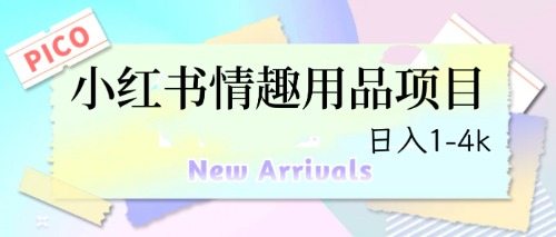 （6555期）最新小红书情趣用品项目，日入1-4k插图