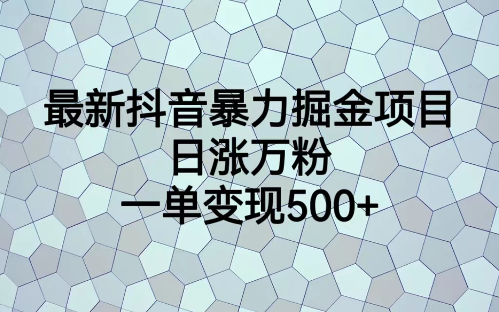 （7100期）最火热的抖音暴力掘金项目，日涨万粉，多种变现方式，一单变现可达500+插图
