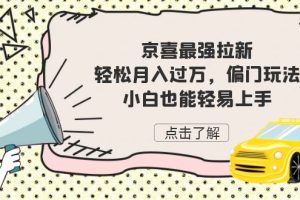 （7046期）京喜最强拉新，轻松月入过万，偏门玩法，小白也能轻易上手
