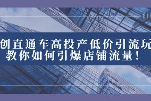 （8197期）原创直通车高投产低价引流玩法，教你如何引爆店铺流量！