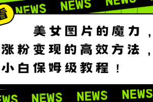 （8616期）美女图片的魔力，涨粉变现的高效方法，小白保姆级教程！