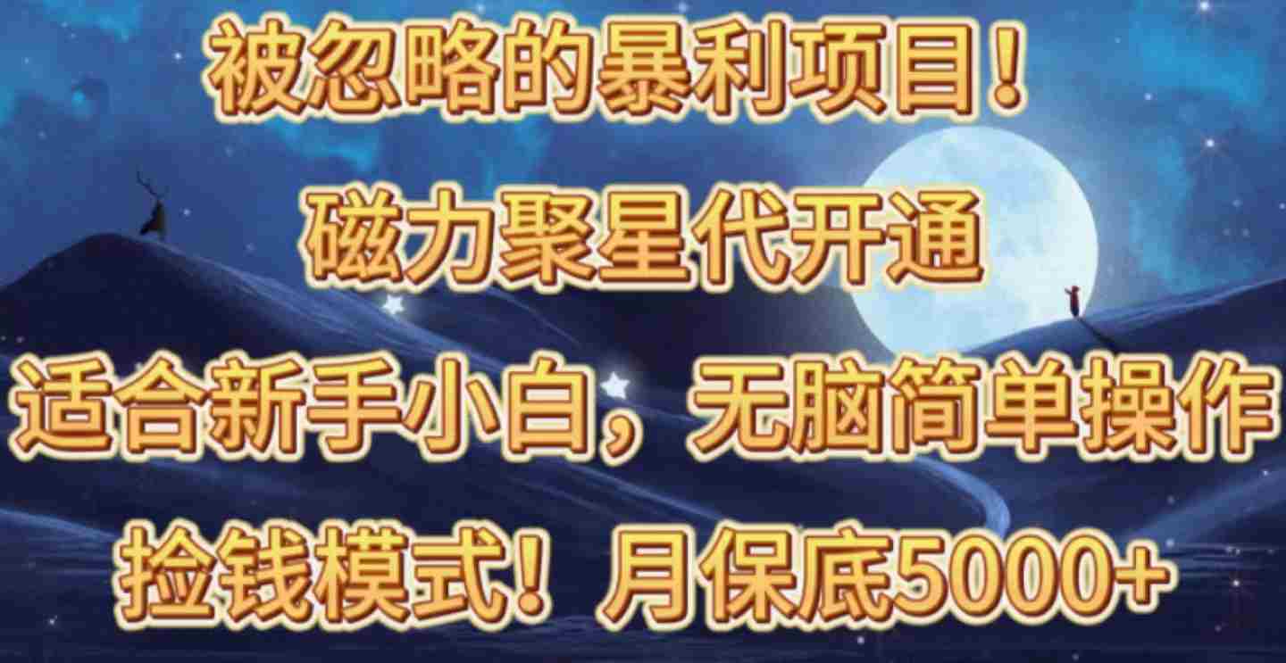 （10245期）被忽略的暴利项目！磁力聚星代开通捡钱模式，轻松月入五六千插图