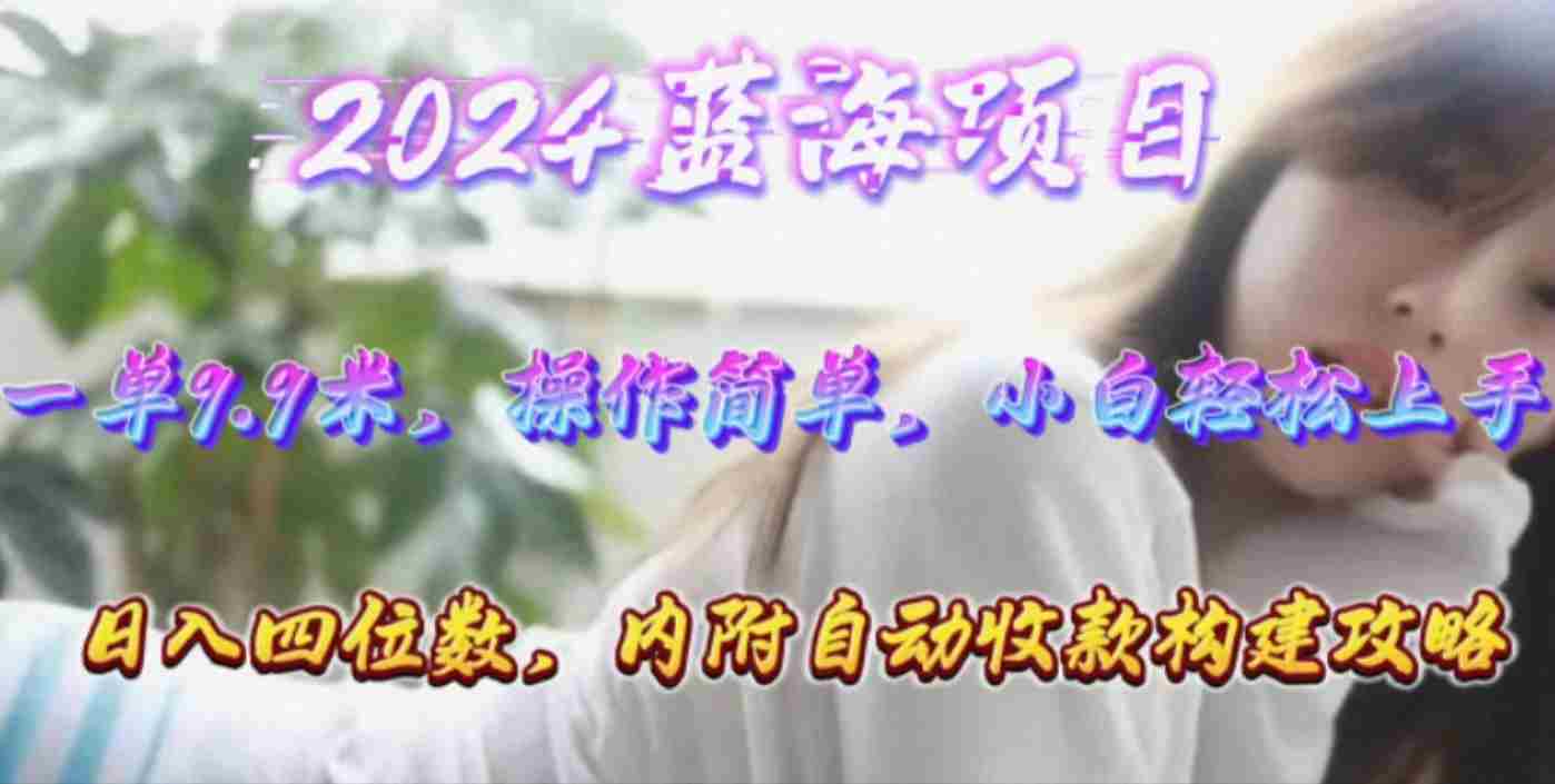 （10204期）年轻群体的蓝海市场，1单9.9元，操作简单，小白轻松上手，日入四位数插图