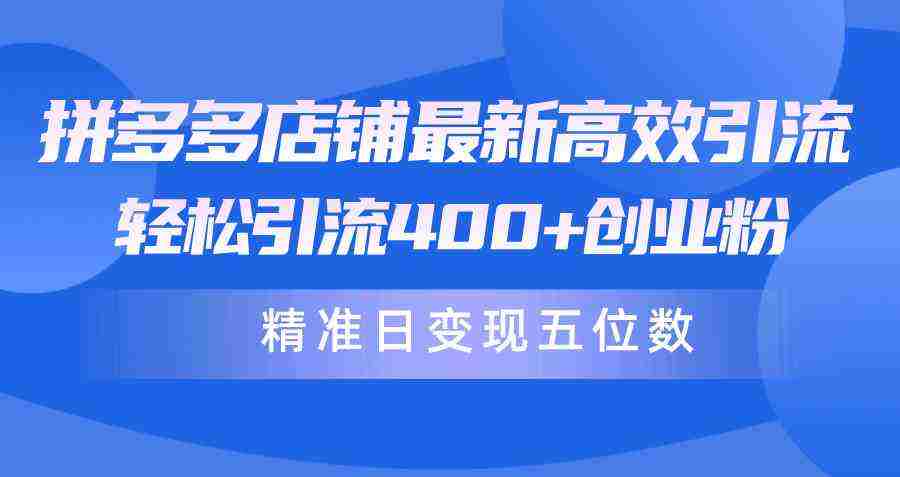 （10041期）拼多多店铺最新高效引流术，轻松引流400+创业粉，精准日变现五位数！插图