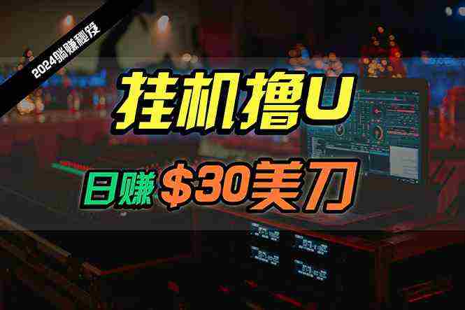 （10013期）日赚30美刀，2024最新海外挂机撸U内部项目，全程无人值守，可批量放大插图