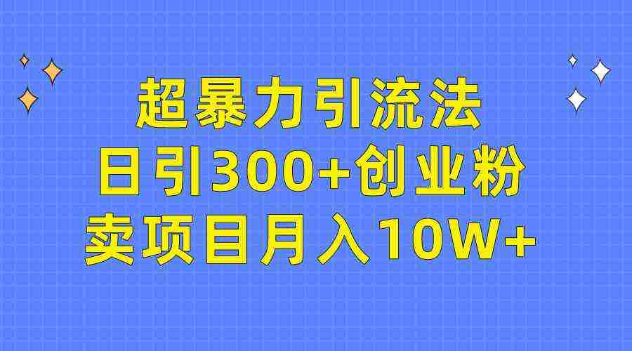 （9954期）超暴力引流法，日引300+创业粉，卖项目月入10W+插图