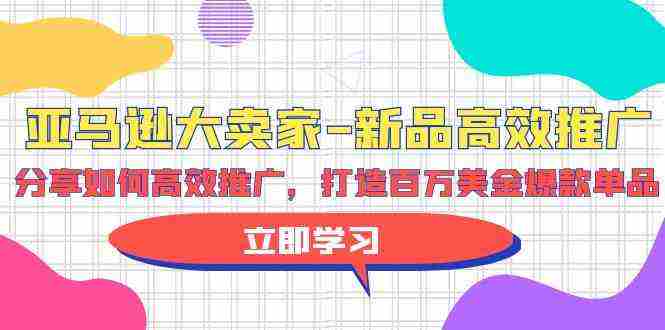 （9945期）亚马逊 大卖家-新品高效推广，分享如何高效推广，打造百万美金爆款单品插图
