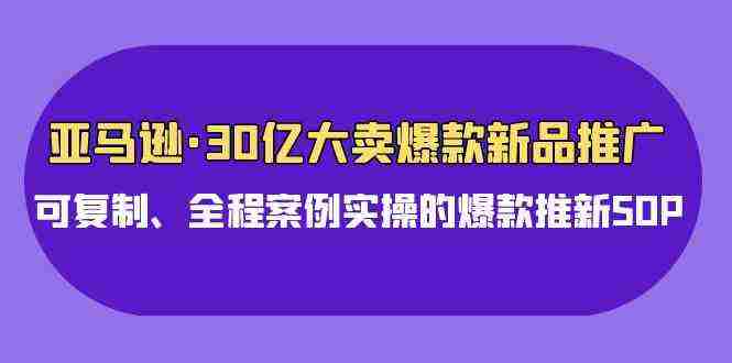 （9944期）亚马逊30亿·大卖爆款新品推广，可复制、全程案例实操的爆款推新SOP插图