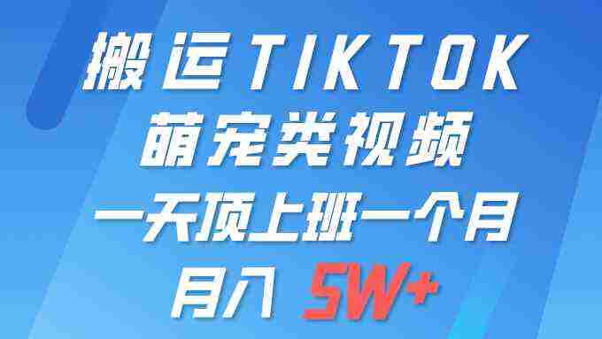 （9931期）一键搬运TIKTOK萌宠类视频 一部手机即可操作 所有平台均可发布 轻松月入5W+插图