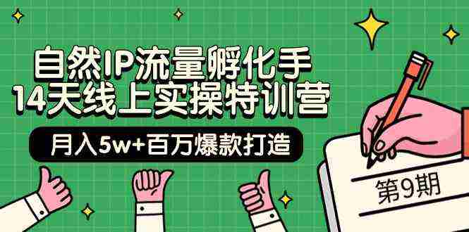 （9881期）自然IP流量孵化手 14天线上实操特训营【第9期】月入5w+百万爆款打造 (74节)插图