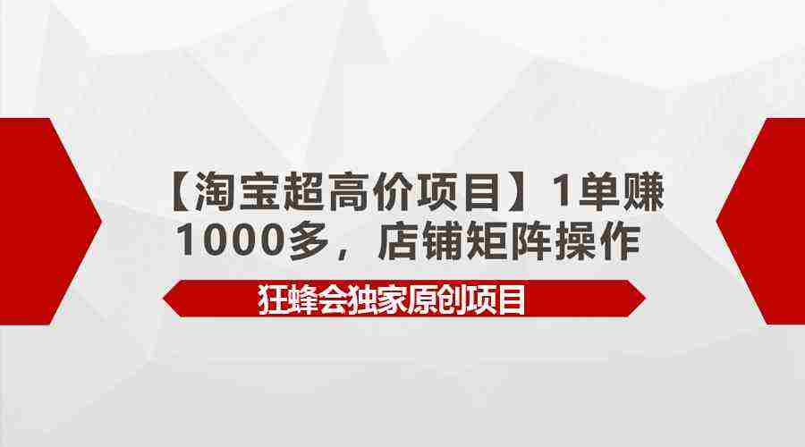 （9849期）【淘宝超高价项目】1单赚1000多，店铺矩阵操作插图