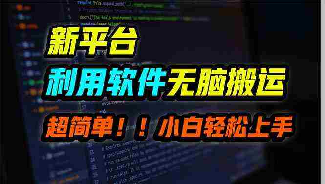 （9745期）新平台用软件无脑搬运，月赚10000+，小白也能轻松上手插图
