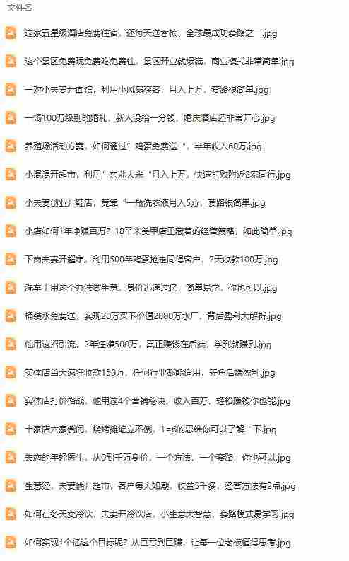 （9607期）真实有效391套商业模式，年入几十到几百万案例解析（电子书+视频+图文）插图3