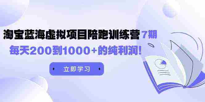 （9541期）黄岛主《淘宝蓝海虚拟项目陪跑训练营7期》每天200到1000+的纯利润插图