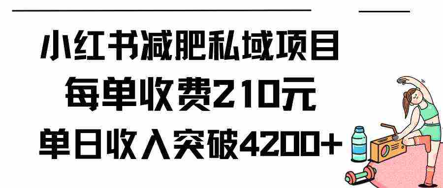 （9466期）小红书减肥私域项目每单收费210元单日成交20单，最高日入4200+插图