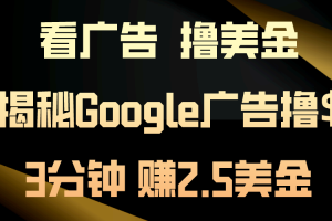 （10912期）看广告，撸美金！3分钟赚2.5美金！日入200美金不是梦！揭秘Google广告…