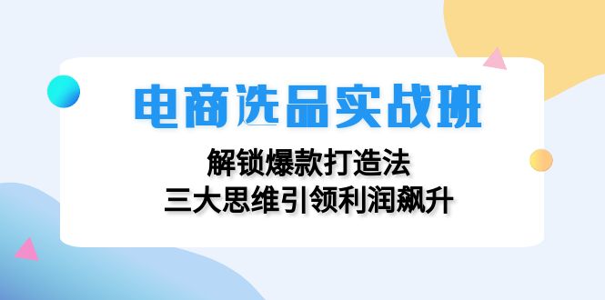 （12398期）电商选品实战班：解锁爆款打造法，三大思维引领利润飙升插图