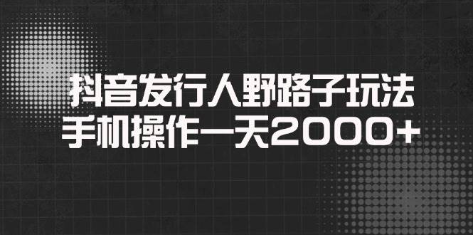 （14068期）抖音发行人野路子玩法，手机操作一天2000+插图