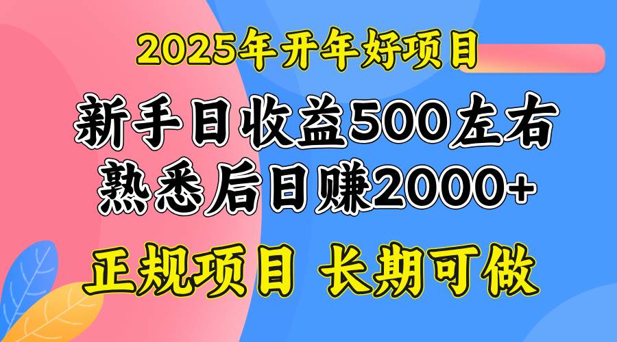 （14076期）2025开年好项目，单号日收益2000左右插图