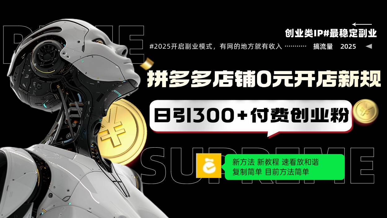 （14092期）拼多多店铺0元开店新规，日引300+付费创业粉，目前方法简单复制粘贴可矩阵插图