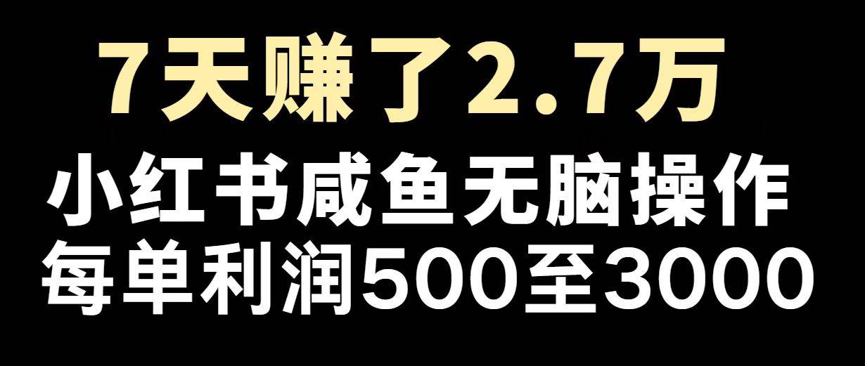 （14183期）最赚钱项目之一，2025爆火，逆风翻盘！插图