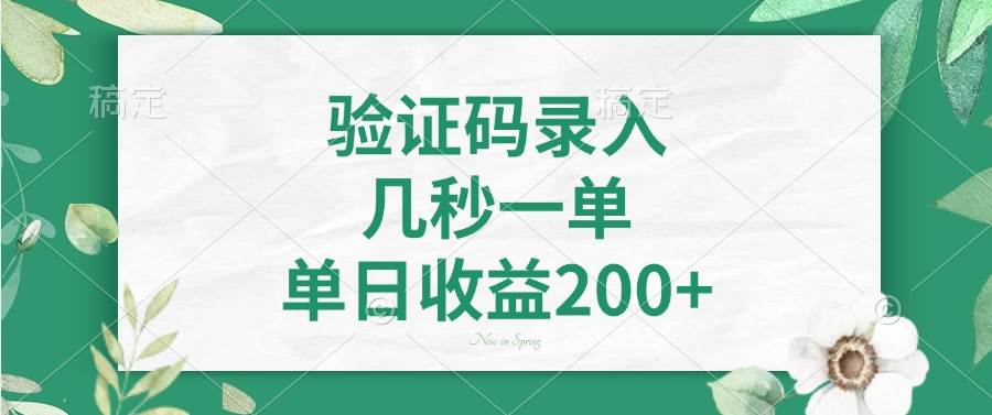 （14221期）验证码录入，几秒一单，单日收益200+插图