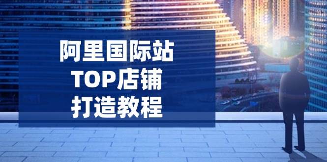 （14269期）阿里国际站TOP店铺打造教程：涵盖平台到高阶，解决运营难题，提升询盘插图