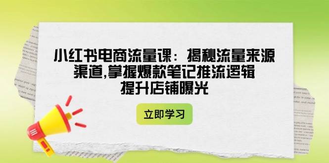 （14318期）小红书电商流量课：揭秘流量来源渠道,掌握爆款笔记推流逻辑,提升店铺曝光插图