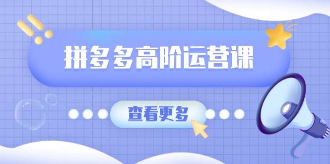 （14327期）拼多多高阶运营课：极致群爆款玩法，轻付费无尽复制，打造单品爆款之路插图