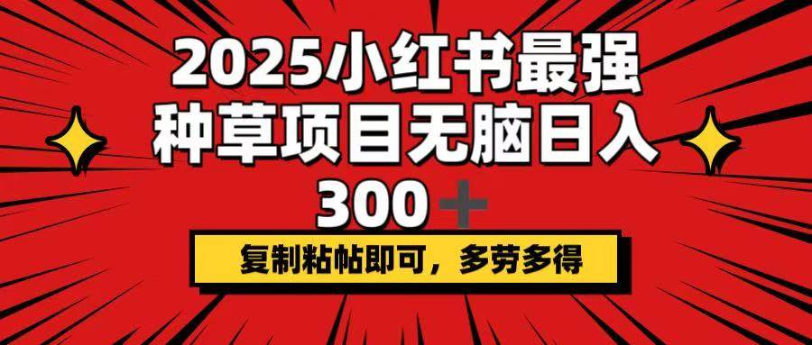 （14375期）2025小红书最强种草项目，无脑日入300+，复制粘帖即可，多劳多得插图
