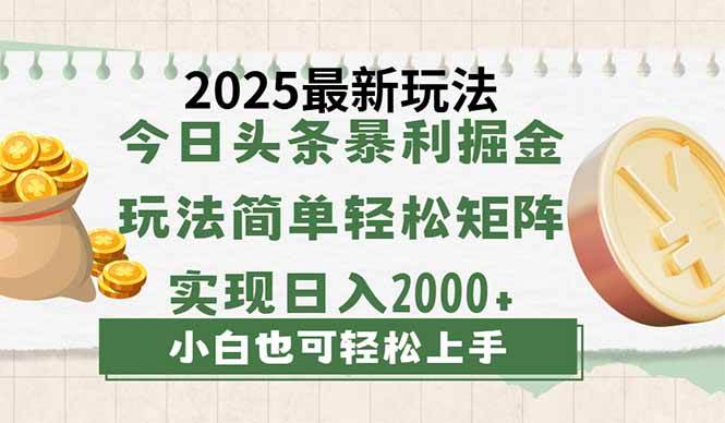 （14120期）今日头条2025最新玩法，思路简单，复制粘贴，轻松实现矩阵日入2000+插图