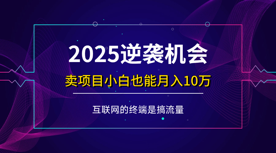 （14122期）项目标题：2025逆袭机会，卖项目小白也能轻松月入10万+插图