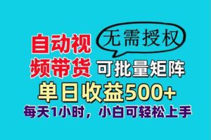 （14229期）自动视频带货，小白轻松上手，单日收益500+、轻松实现睡后收益