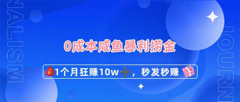 （14257期）0成本闲鱼暴利捞金，1个月狂赚10W+，秒发秒赚新玩法插图
