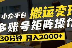 （14288期）得物平台变现新蓝海！无脑复制热门视频，多账号同步运营，每天半小时躺…