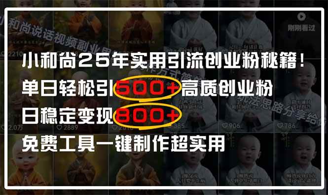 （14436期）小和尚2025年实用引流秘籍！单日轻松引500+高质量创业粉，日变现800+，…插图
