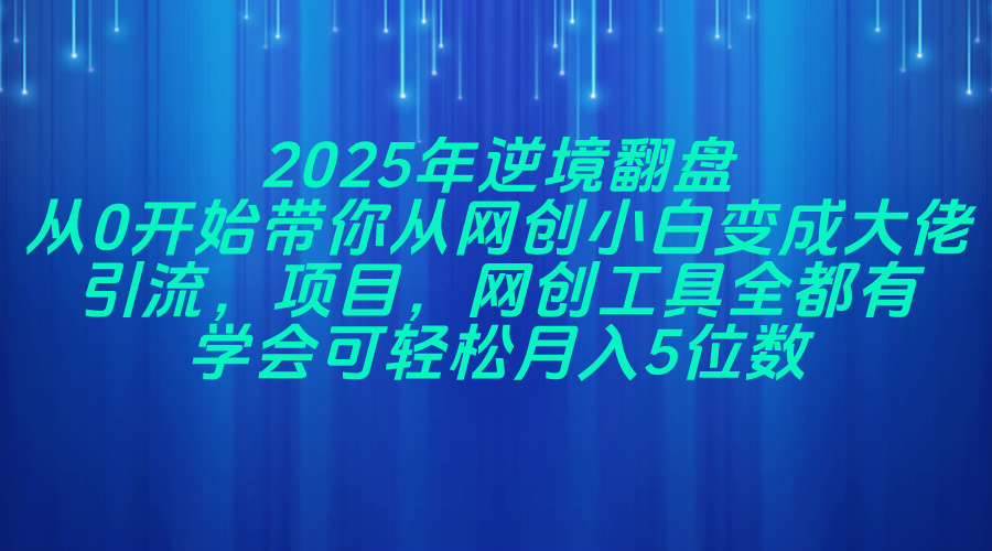 （14473期）2025年逆境翻盘，从0开始带你从网创小白变成大佬，引流，项目，网创工…插图