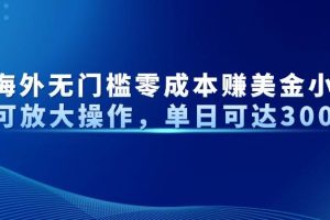（14542期）最新海外无门槛零成本赚美金小众项目可放大操作，单日可达300+