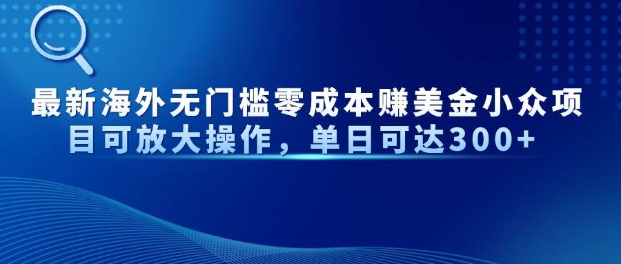 （14542期）最新海外无门槛零成本赚美金小众项目可放大操作，单日可达300+插图
