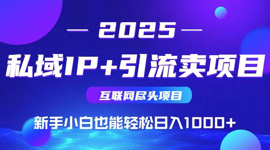 （14613期）私域IP+卖项目，普通人小白也能轻松实现日入1000+插图